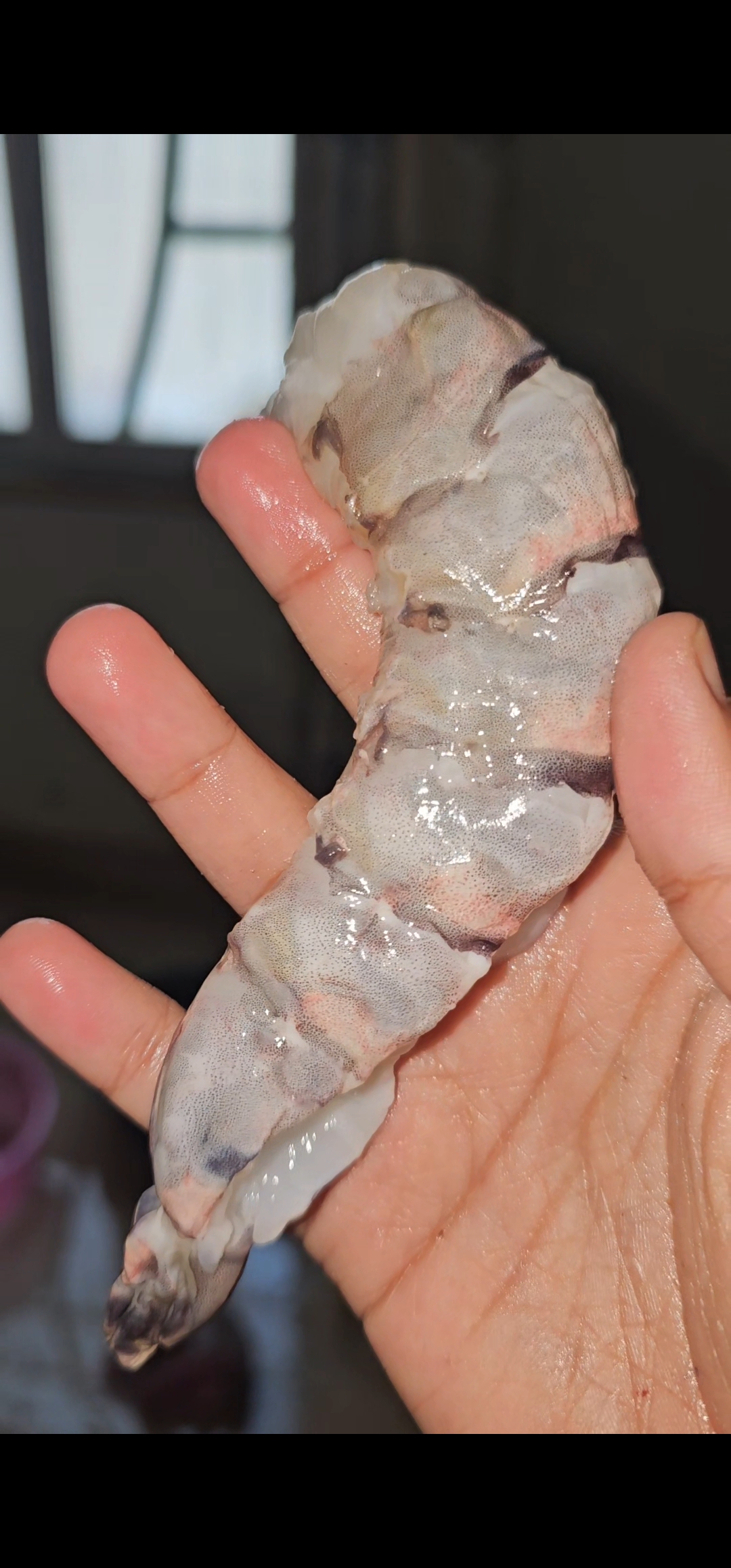 Premium Raw Seafood Quality 4