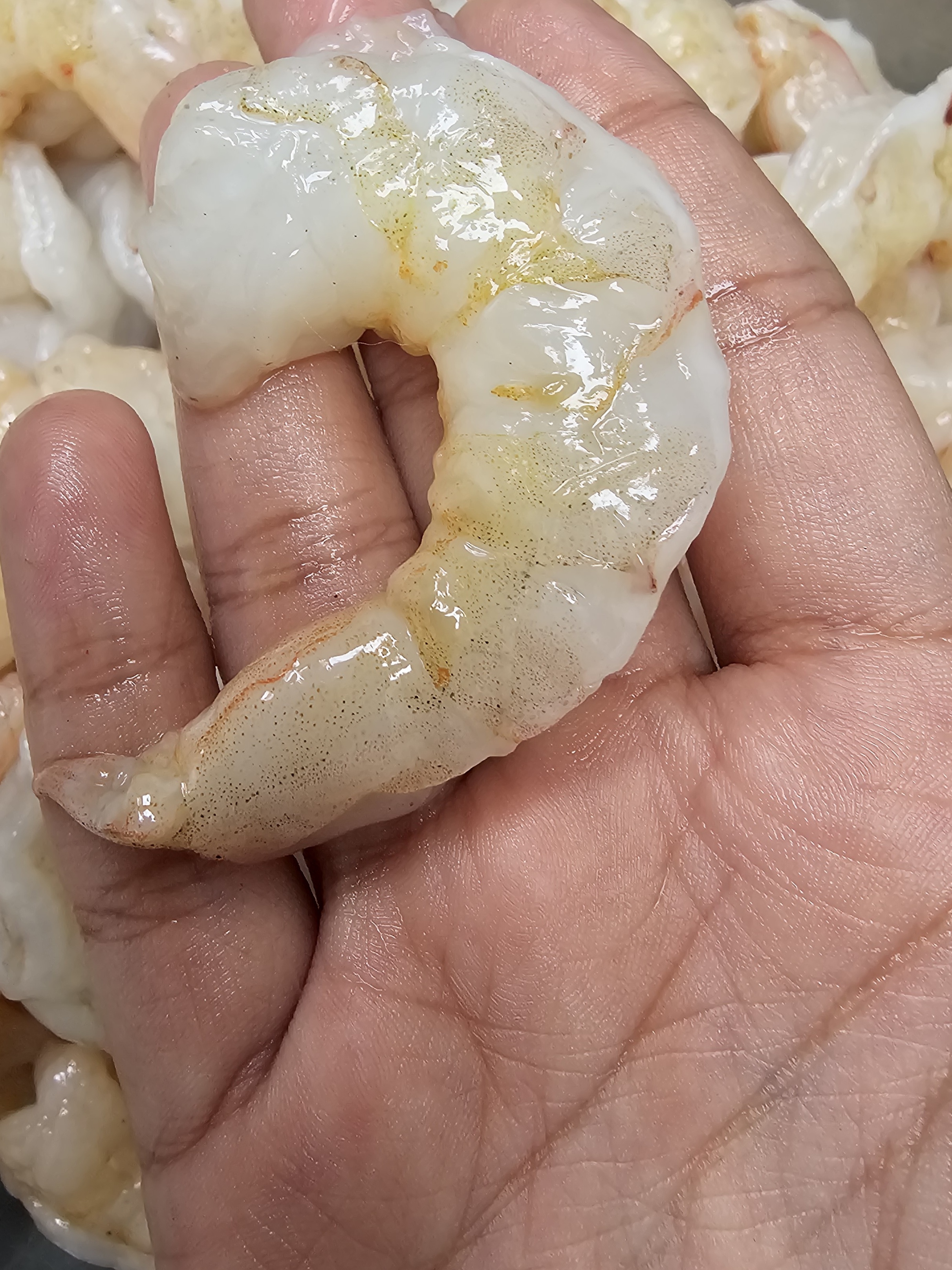 Premium Raw Seafood Quality 5