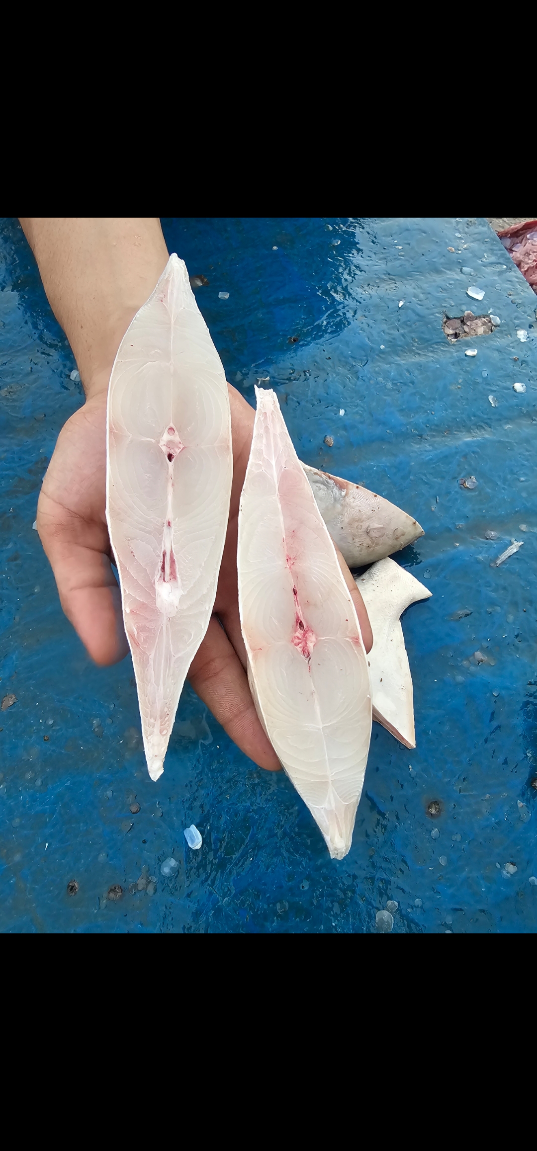 Premium Raw Seafood Quality 7