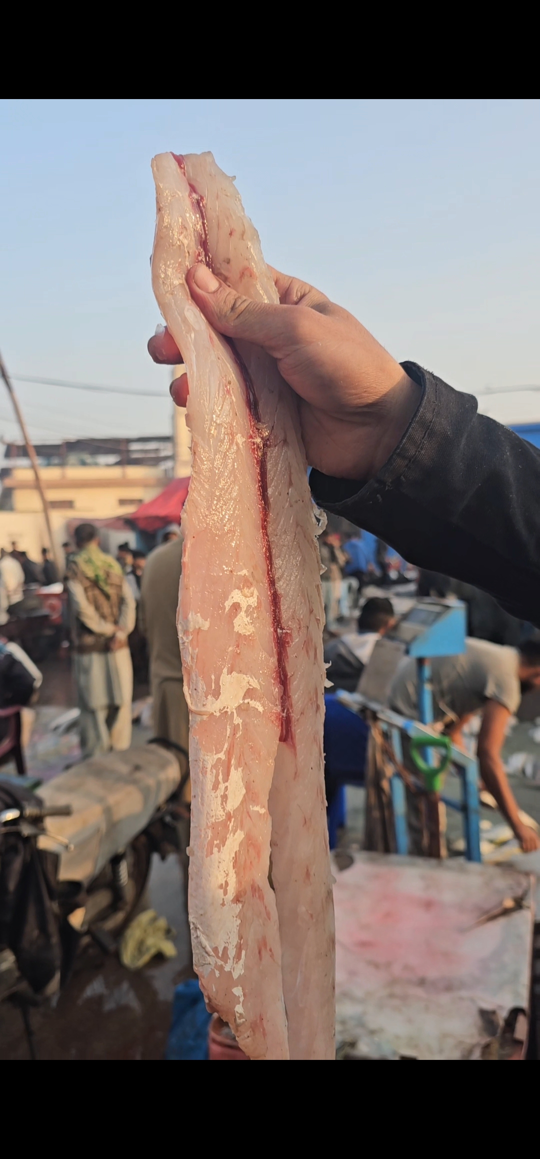 Premium Raw Seafood Quality 8