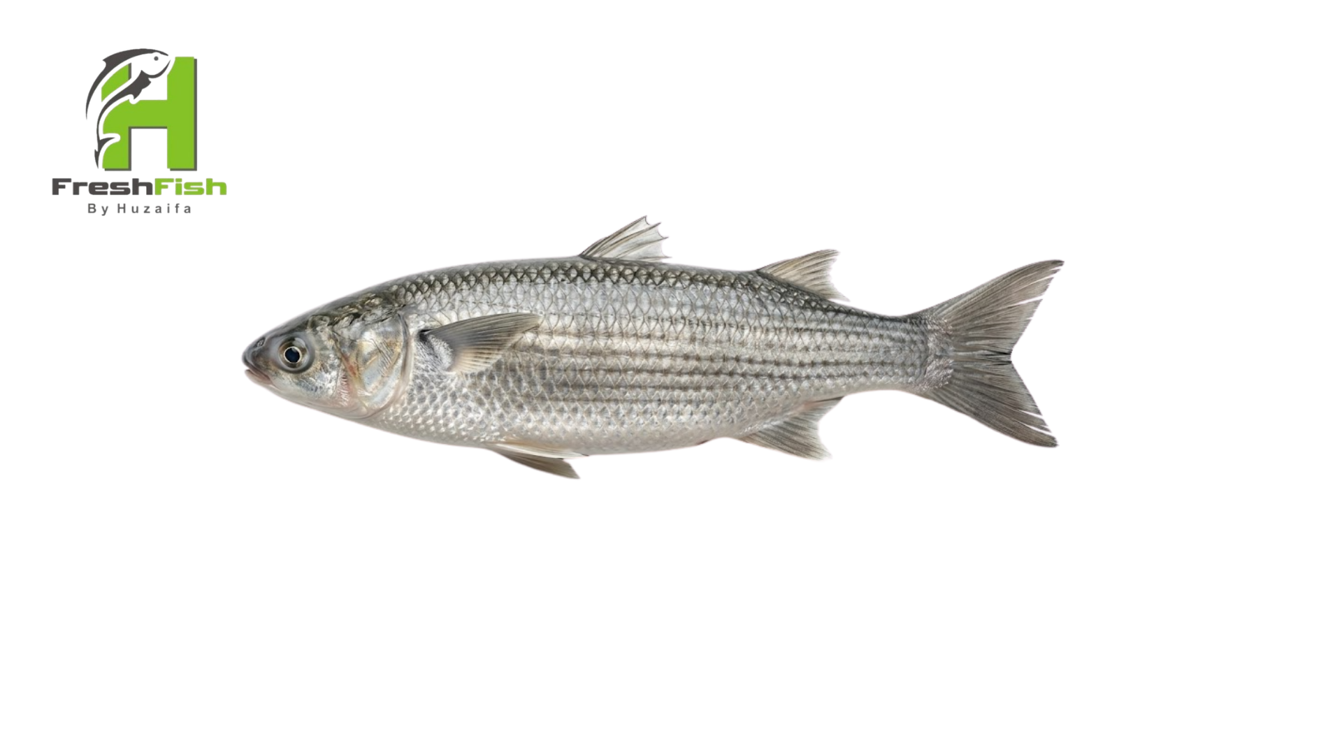 Whole Fish